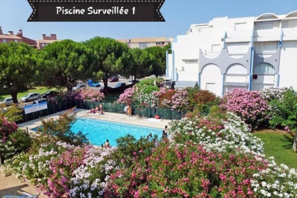Appartement 2 Pieces + Cabine, 6 Couchages Le Grau-du-Roi Εξωτερικό φωτογραφία
