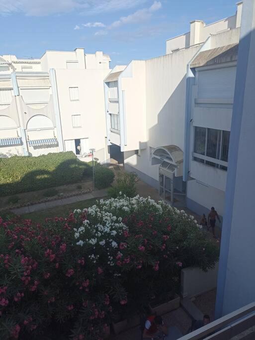 Appartement 2 Pieces + Cabine, 6 Couchages Le Grau-du-Roi Εξωτερικό φωτογραφία